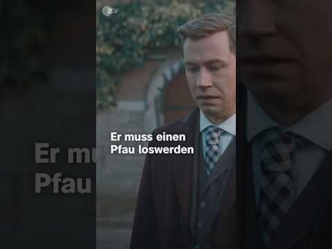 ZDF