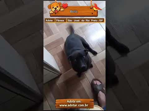 Vídeo de Bella