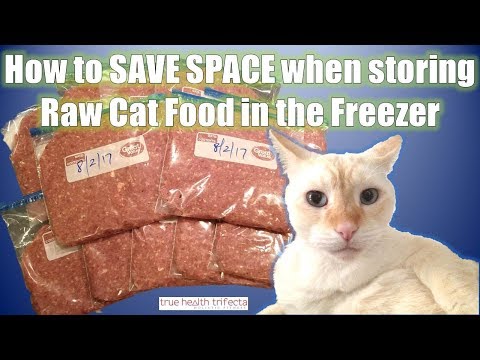 How to store Raw Cat Food (while saving space!) - Traveling Tips / Cat Lady Fitness