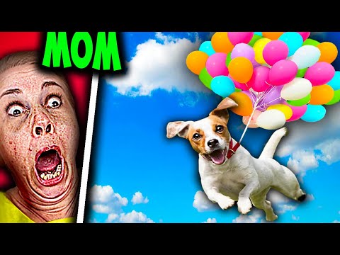 TikTok Wigofellas PRANKS on MOM - Wigofellas PRANKS on Girlfriend - Wigofellas TikTok PRANKS DAY 152