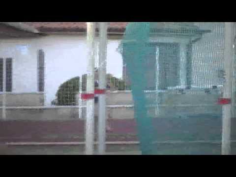 ONDA TG 02.06.2014 - GIULIO PERPETUO CAMPIONATI REGIONALI INDIVIDUALI LAZIO