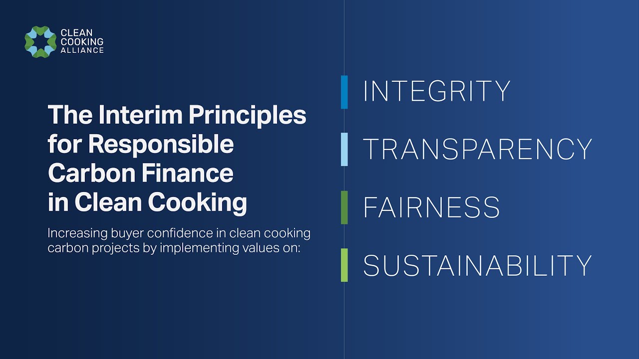 Launching the Interim Principles for Responsible Carbon Finance