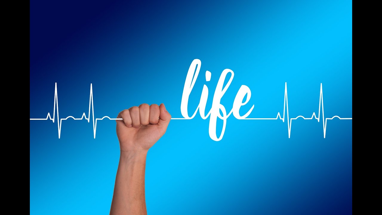 28 Healthy Heart Tips II Healthy Heart II Healthy Heart Signs