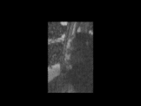 Supernatural Shock (death grips x boombox cartel mashup)