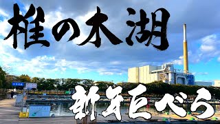 初椎の木湖！管理釣り場での巨ベラを11尺チョーチンで狙う【埼玉県椎の木湖】