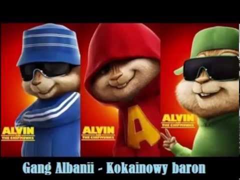 Gang Albanii Kokainowy baron Alvin i Wiewiórki