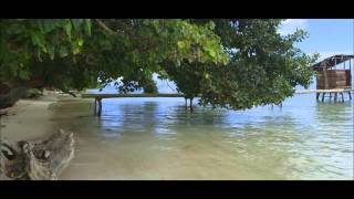 Only The Lonely - The Motels