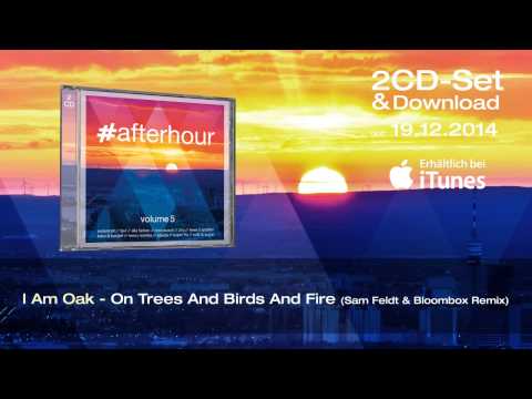 #afterhour Vol. 5 (Official MiniMix)