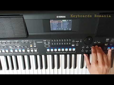 Yamaha PSR-SX600 - Dance & R&B Styles Category