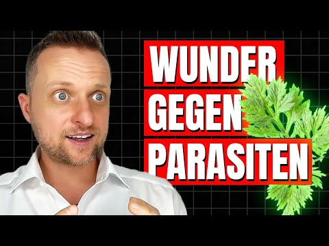 Diese deutsche Heilpflanze wirkt Wunder gegen den stärksten Parasiten!
