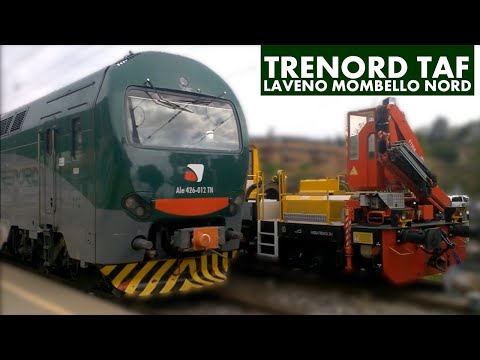 Trenord Trains at Laveno Mombello Nord (Lombardia)