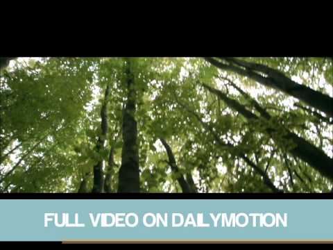 Laidback Luke Vs. Icona Pop Vs. Fatboy Slim - I Love You & Dutchano (Cabox Mash Up) [Official Video]