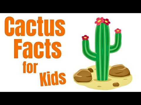 Cactus Characteristics