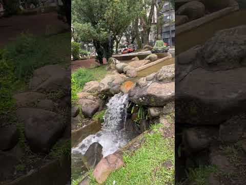 #curitiba #japão #japan #curitibaparana