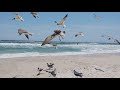 In Heaven's Eyes | Steve Wilson | Gospel Courier Ministries