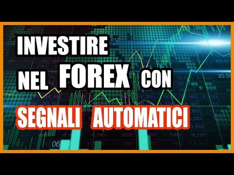 Perche nonm investire forex