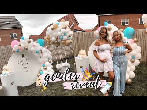 We Threw The BEST GENDER REVEAL PARTY Ever! | Elle Darby