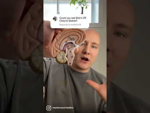 The difference between Cheyne Stokes and Biots #paramedic #paramedicstudent #emtstudent #emt #nremt