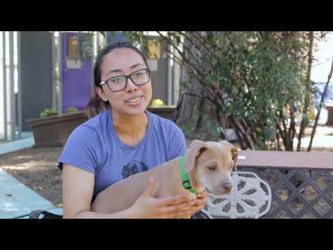 ​Work at the BC SPCA