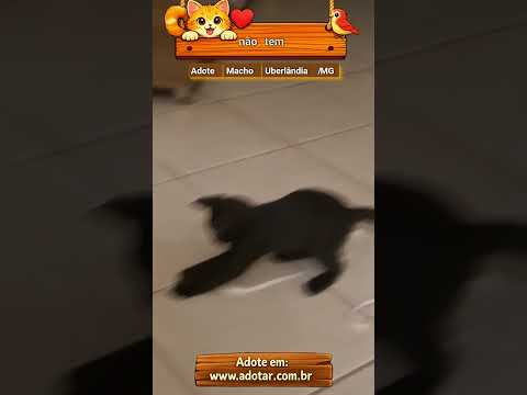 Vídeo de não tem