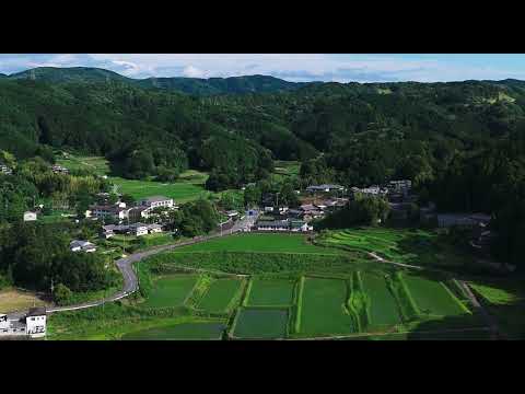 ドローン撮影　柳生の棚田