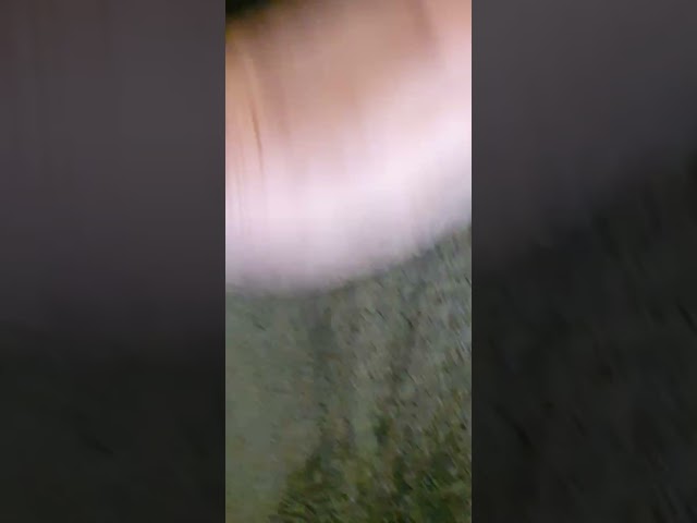 Vídeo relacionado con BLANKNTC Manta De Colcha,Sobrecama Ligera,Fleece Manta,Sofas De Franela,Simpsons Ultra Soft Velvet Bed - Manta Cálida para Cama,Sofá,Sala De Estar,Oficina,Escuela L