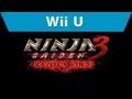 Ninja Gaiden 3 Razor'S Edge - Wii U