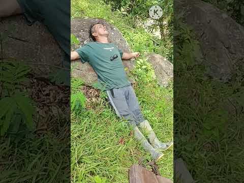 viota cundinamarca el pueblo más trabajador