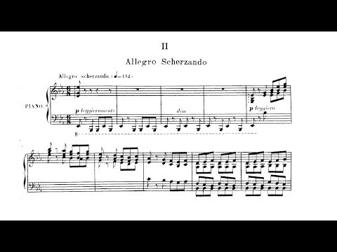 Saint-Saëns: Piano Concerto Op. 22 No. 2 - 2nd mov. - Bizet piano solo transcription