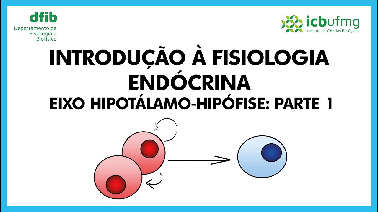 Introdução à Fisiologia Endócrina e Eixo Hipotálamo-Hipófise: Parte 1