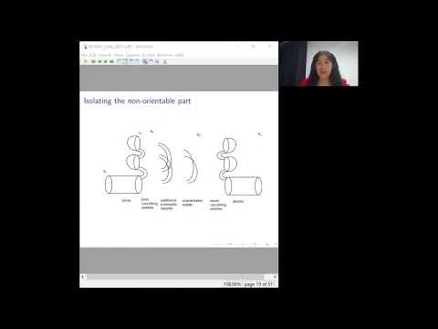 NCNGT Topology Talk: Non-orientable link cobordisms and torsion order in Floer homologies Part 1