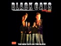 Black Cats - Ey Daad | بلک کتس - ای داد