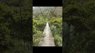 Káva Rio Intag Ekvádor 250 g zrnková