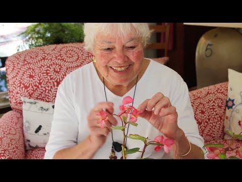 Sex Ed for Botanists