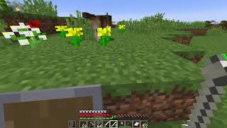 【マイクラ】単発 のんびり（アド禁）