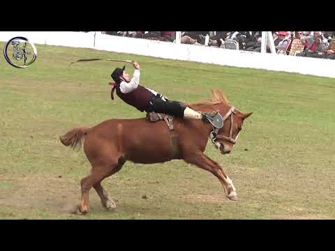 Riding in Basto with counter Saturday 45th Festival Doma and Folklore Club Columbus San Justo (S.F.)