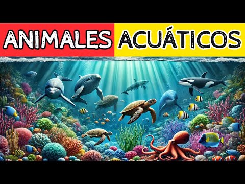 Animales Marinos para Niños: ¡Sumérgete en la Diversión y Aprendizaje Acuático! 🌊🐟