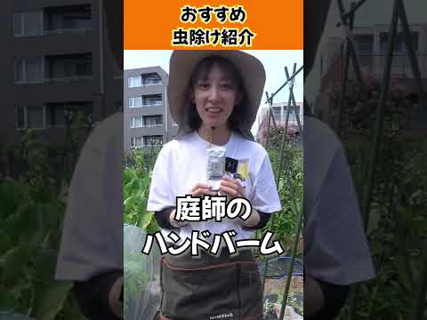 ダニを怖がらせる植物は何ですか?この夏、自然に害虫を撃退し、刺されを防ぐトップ 5 種  庭園