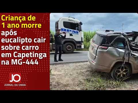 CRIANÇA DE 1 ANO MORRE APÓS EUCALIPTO CAIR SOBRE CARRO EM CAPETINGA NA MG-444