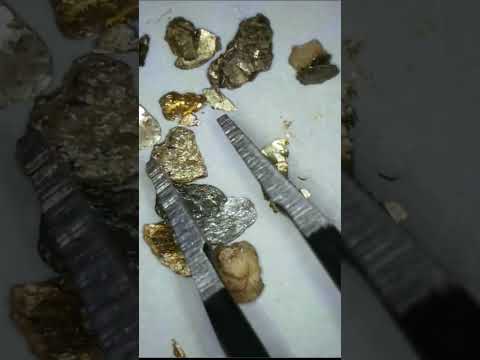 Mica compared to gold #crystals #minerals #history #natur #gemstone #gold e #science #fishing