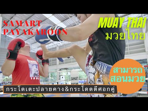 Flying Kick and Double Elbows techniques- Mae Mai Muay Thai #มวยไทย  ( กวางเล่นโป่ง ช้างประสานงา)