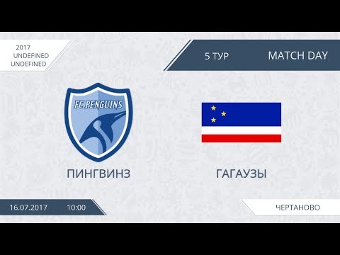 AFL17. Chertanovo. Day 5. Пингвинз - Гагаузы