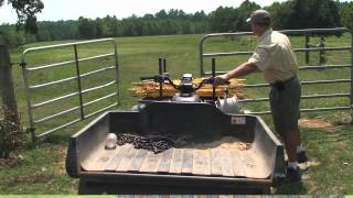 Winter Grazing - a Better Way to Feed