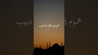 إلهي أنت تعلم كيف حالي مشاري العفاسي