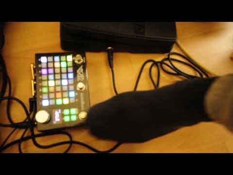 Empress ZOIA newbie demo