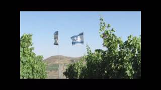 preview picture of video 'ביקור בכרם של ענבי היין של קיבוץ אורטל, רמת הגולן. מורה דרך: צחי שקד'