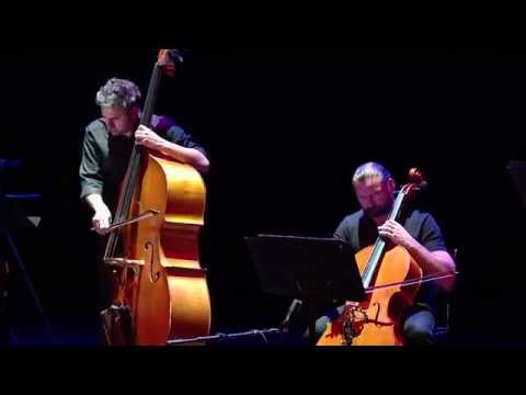 Wim Mertens - Often a Bird