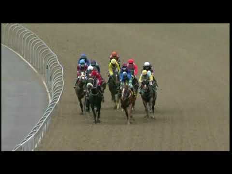 20201130 Hollywoodbets Greyville express clip Race 9 won by GIGGIN