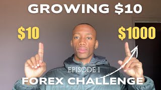 DAY 1|| GROWING $10 TO $1000 TRADING FOREX || GOOD START