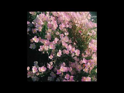 Old Lacy Bed - Happy Happy Happy